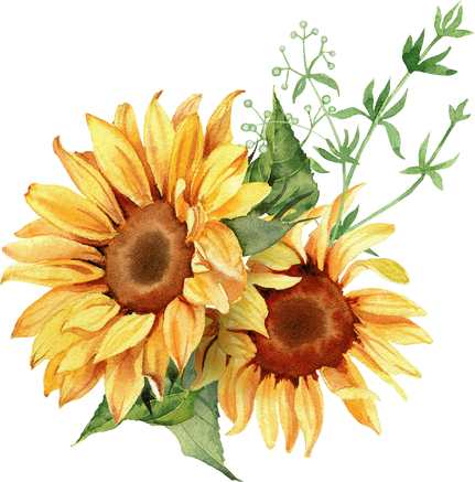 Watercolor sunflower arrangement